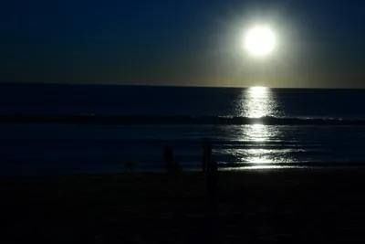 DSC_1206 (Large).JPG